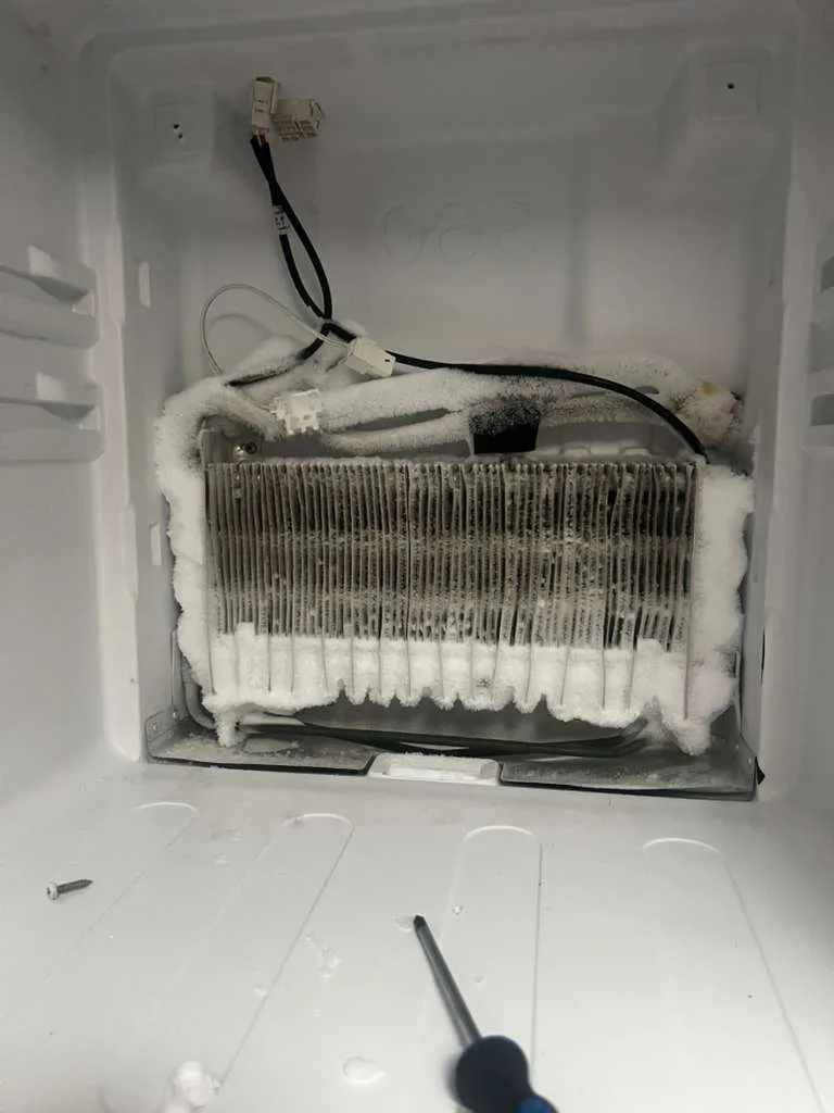 Frozen coil on an RV refrigerator being diagnosed in Palm City