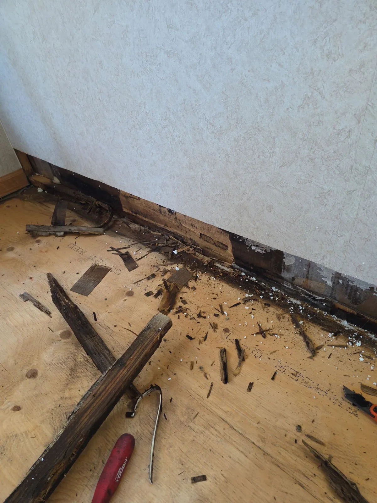 RV water damage to floor and walls